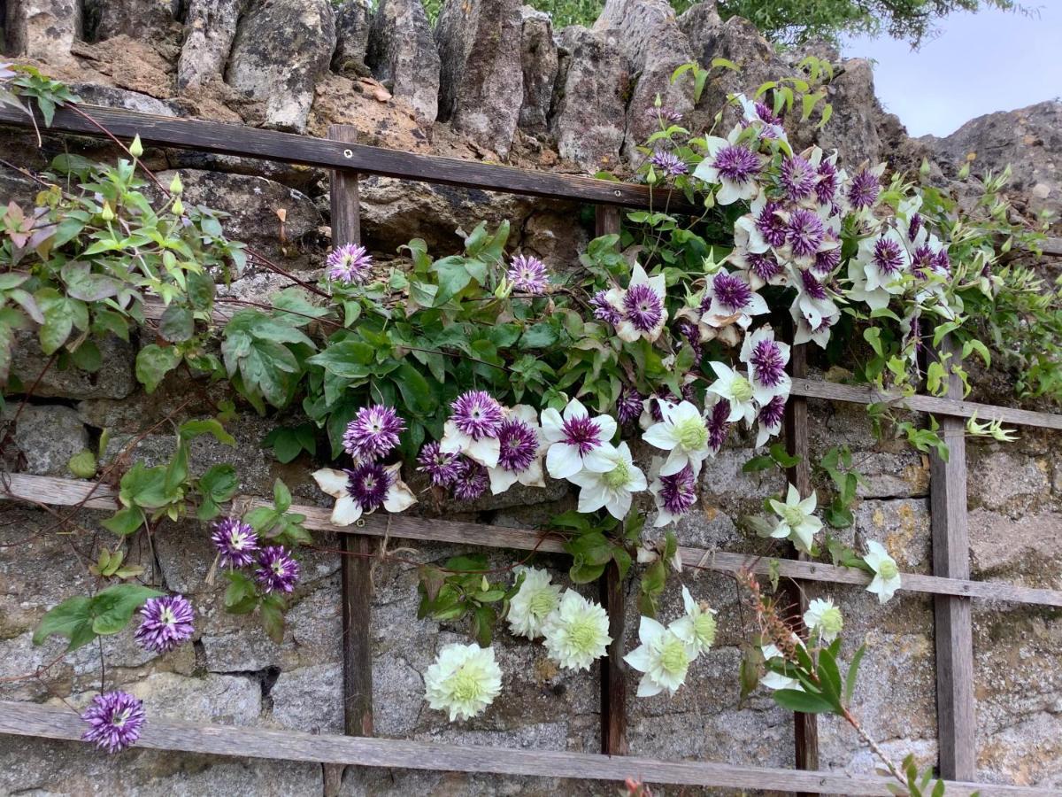 Orchard Cottage, Clematis Cottages, Stamford. Accessible Luxury Home. Kültér fotó