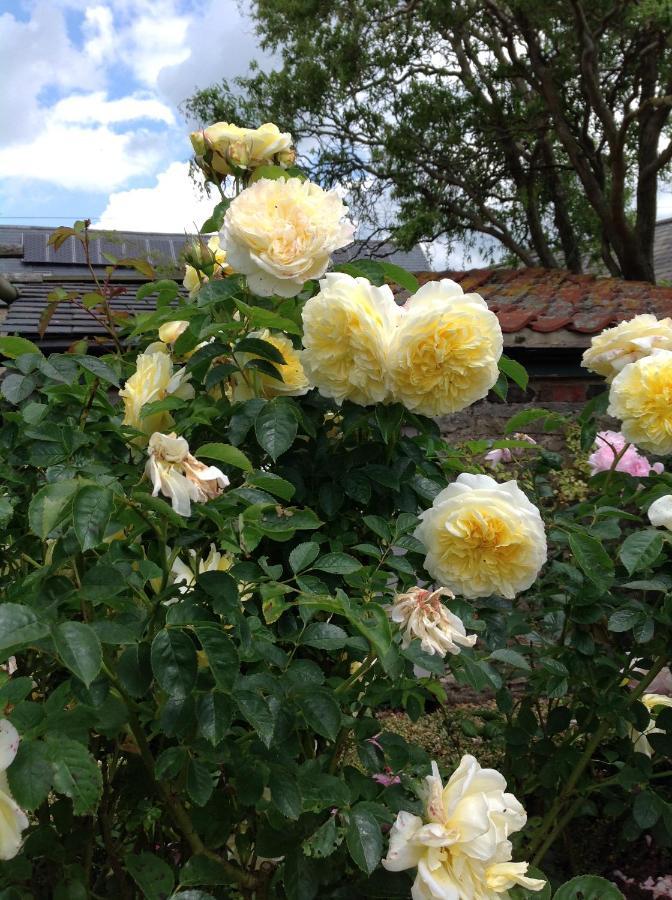 Orchard Cottage, Clematis Cottages, Stamford. Accessible Luxury Home. Kültér fotó