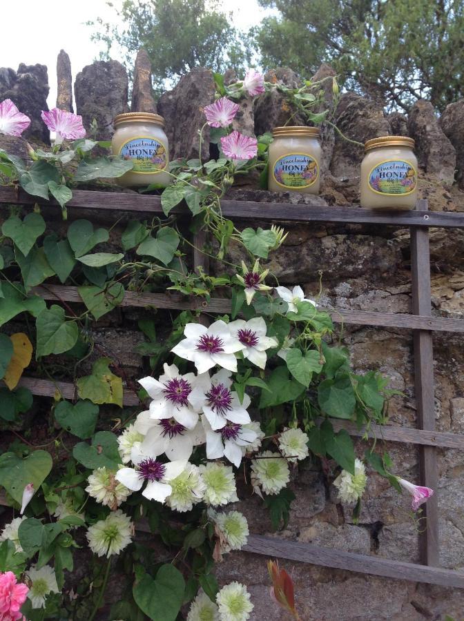 Orchard Cottage, Clematis Cottages, Stamford. Accessible Luxury Home. Kültér fotó