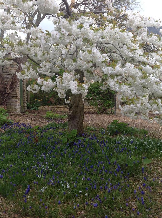 Orchard Cottage, Clematis Cottages, Stamford. Accessible Luxury Home. Kültér fotó